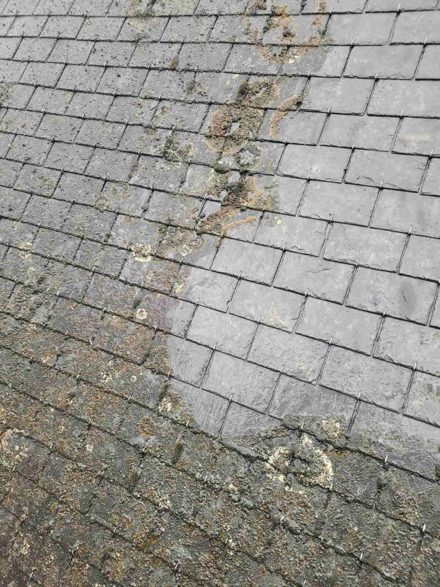 Toiture en ardoise avant nettoyage avec mousses et lichens